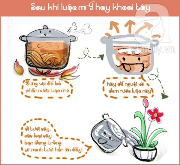 Boiling Italian noodles and potatoes